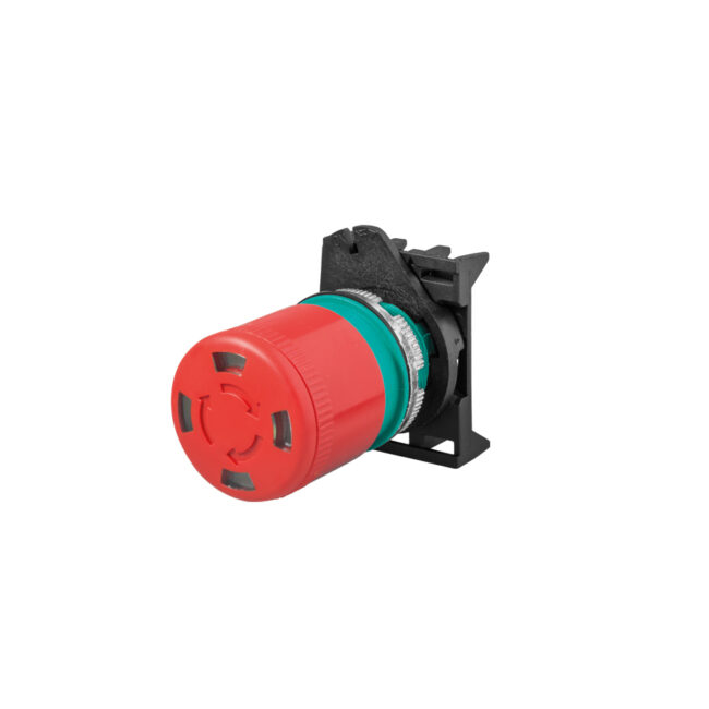 auxiliarycontrols-pegasus-