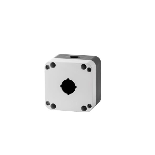 auxiliarycontrols-pegasus-