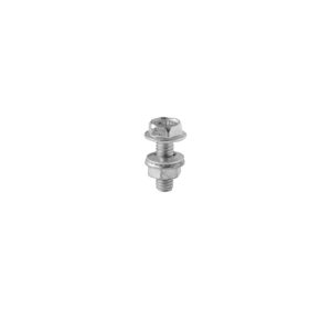 FLANGED SCREW