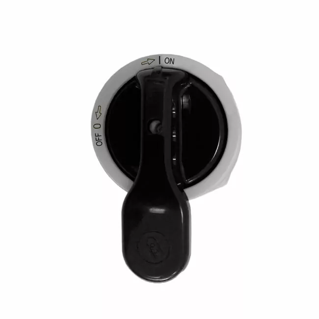 switch-disconnector-regolus-310_SEZ