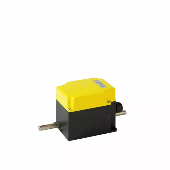 double-overhang-shaft